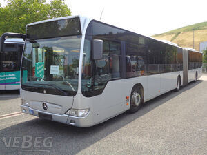 Bus Mercedes Citaro O 530 G