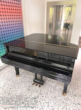 Flügel Boston GP-156